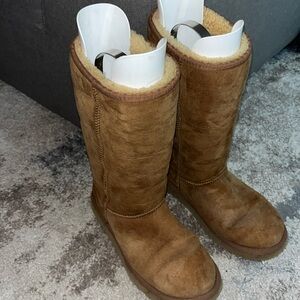 Women’s Tall Chestnut Ugg